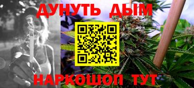 прущие грибы Абинск