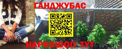 прущие грибы Абинск
