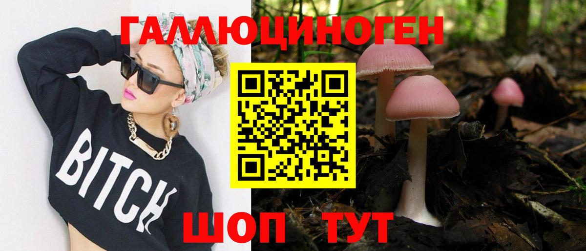 Галлюциногенные грибы Psilocybe Алексеевка